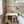 Pure - Annie Sloan Chalk Paint®