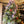 Large Ruscus Stem Artificial Greenery - 14 inches