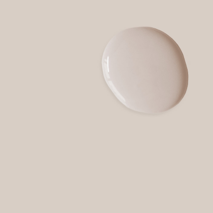 Pointe Silk  - Satin Paint by Annie Sloan