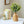 Large Ruscus Stem Artificial Greenery - 14 inches