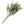 Italian Ruscus stem Artificial Greenery - 14 inches