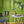 Tilton - Annie Sloan Chalk Paint®