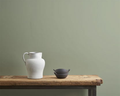 Terre Verte  - Wall Paint by Annie Sloan
