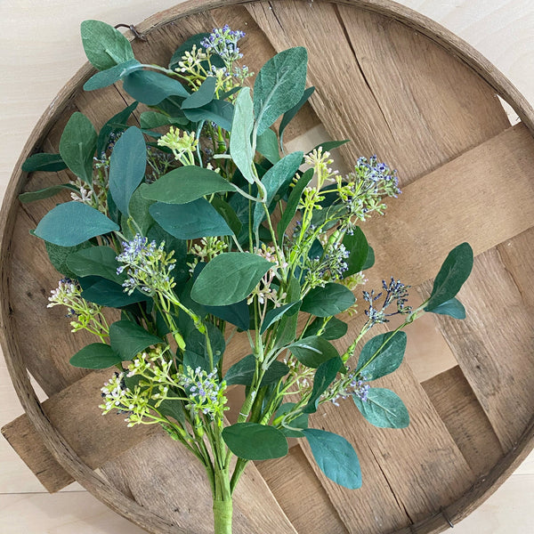 Summer Eucalyptus, Seeded