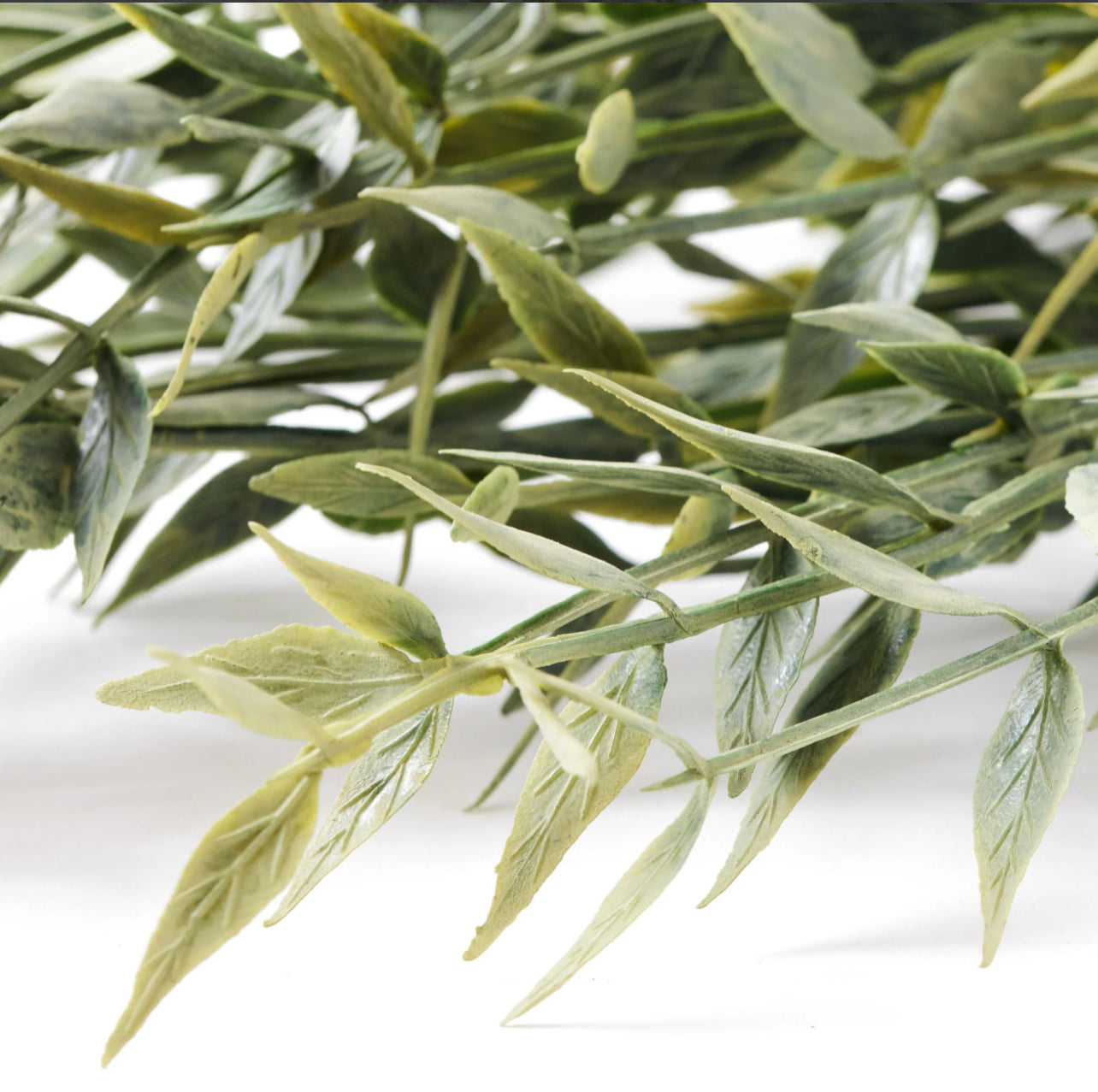 Italian Ruscus stem Artificial Greenery - 14 inches