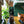 Amsterdam Green- Annie Sloan Chalk Paint®