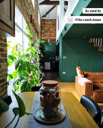 Amsterdam Green- Annie Sloan Chalk Paint®