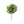 Large Ruscus Stem Artificial Greenery - 14 inches