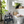Whistler Grey  - Annie Sloan Chalk Paint®