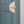 Cambrian Blue - Annie Sloan  Satin Paint®