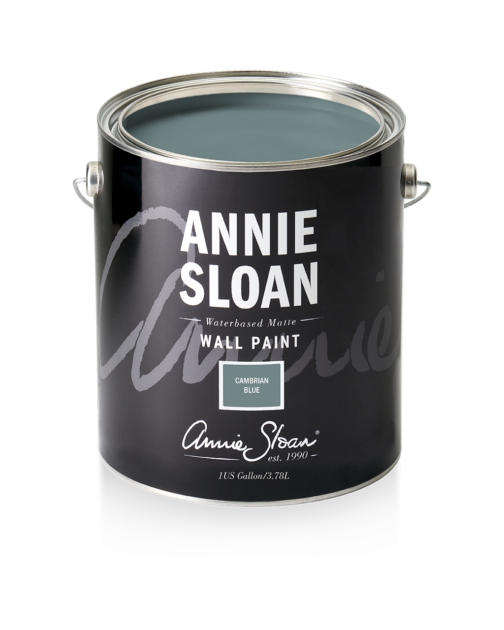 Cambrian Blue - Annie Sloan Wall Paint