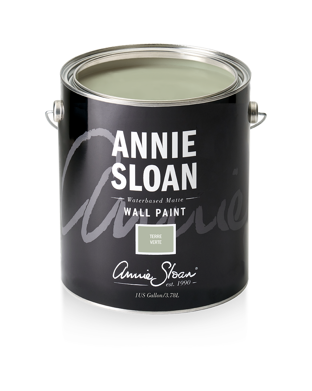 Terre Verte  - Wall Paint by Annie Sloan