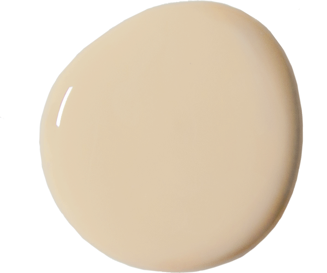 Old Ochre - Annie Sloan Wall Paint