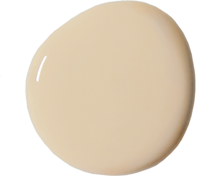 Old Ochre - Annie Sloan Wall Paint