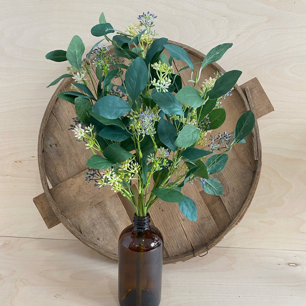 Summer Eucalyptus, Seeded