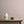 Ponte Silk - Wall Paint by Annie Sloan