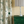 Amsterdam Green- Annie Sloan Chalk Paint®