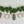 Pumpkin Fall Banner Kit