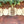 Pumpkin Fall Banner Kit