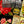 IOD Ephemeral Melange IOD Transfer 8x12 Pad™
