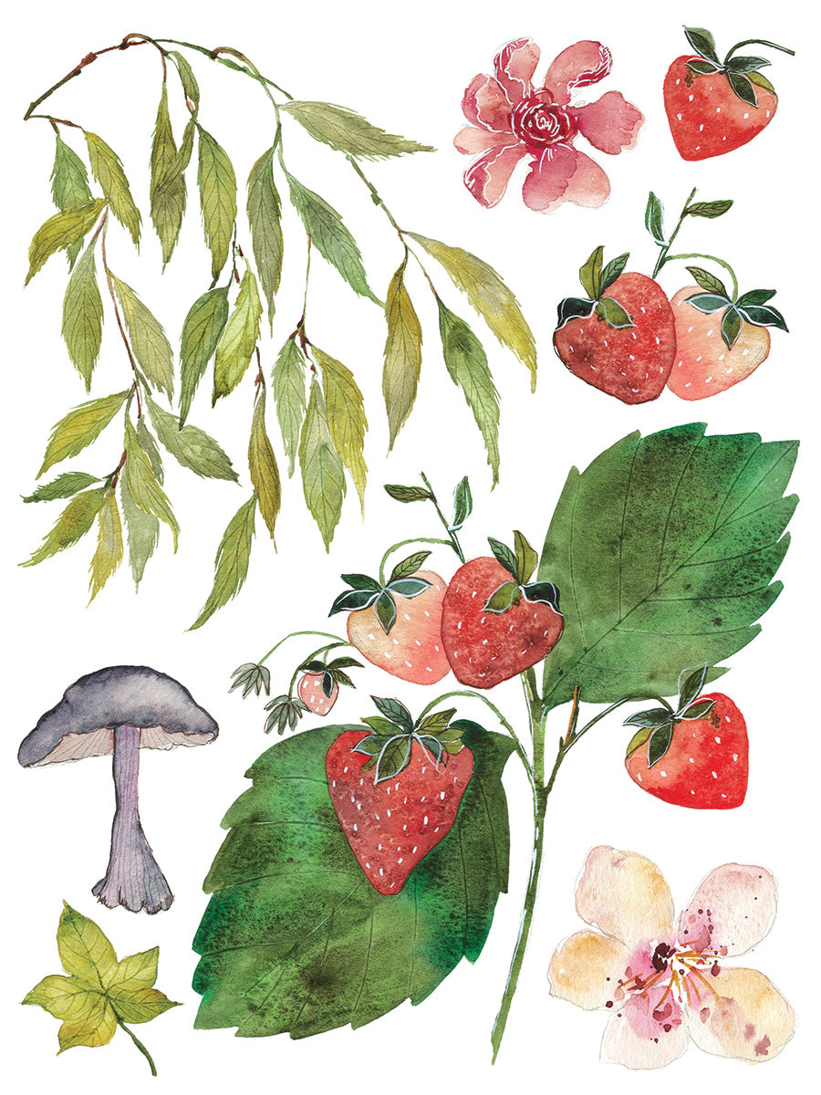 IOD  Whispering Willow IOD Transfer 12x16 Pad™