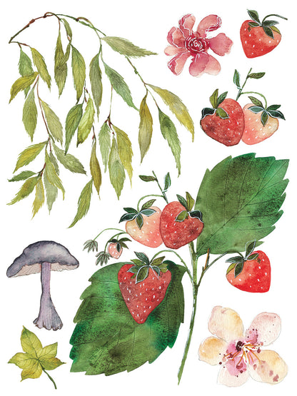 IOD  Whispering Willow IOD Transfer 12x16 Pad™