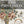 IOD Chateau IOD Paint Inlay