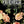 IOD Flora Parisiensis 24x33 Decor Transfer™