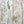 IOD Sprigs 12x12 IOD Stamp™