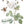 IOD Brocante IOD Transfer 12x16 Pad™