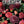 IOD Redouté II IOD Transfer 12×16 Pad™