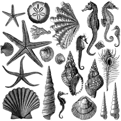 IOD Seashore 12x12 IOD Stamp™