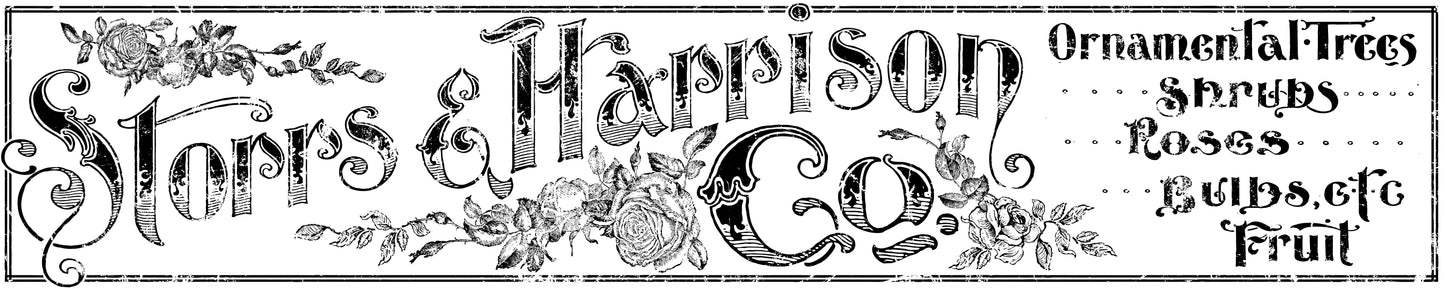IOD Storrs and Harrison 12x60 Decor Transfer™