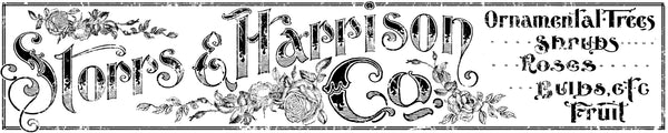 IOD Storrs and Harrison 12x60 Decor Transfer™