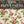 IOD Rose Chintz IOD Paint Inlay 12x16 Pad™