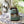 IOD Indigo Floral IOD Paint Inlay 12x16 Pad™