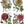 IOD Ladies in Waiting 24x33 Decor Transfer™