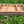 S’mores  Station - Wood  Shores Station | The Stilwell House