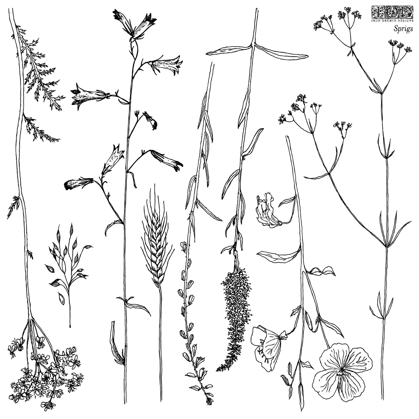 IOD Sprigs 12x12 IOD Stamp™