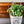 IOD  Traditional Pots IOD Transfer 12x16 Pad™